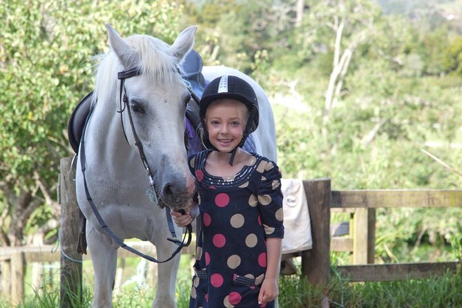 Matakana Art & Horse Riding Experience Private Tour From Auckland - Private Tour Logistics from Auckland CBD