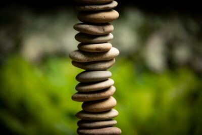Matakana Art & Vineyard Experience incl. Lunch & Wine Tasting Tour From Auckland - Getting started in Auckland: private pickup, Wi-Fi, and a calm start