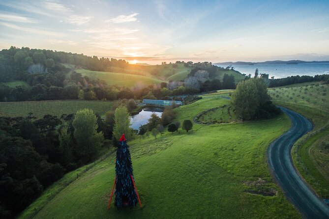 Matakana Art & Vineyard Experience incl. Lunch & Wine Tasting Tour From Auckland - The two-vineyard tasting: what you gain by doing more than one