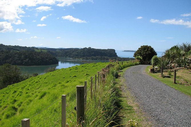 Matakana Scenic Coastal Getaway from Auckland - Key highlights to look for