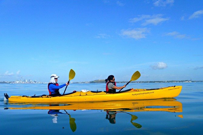 Motukorea / Browns Island Sea Kayak Journey - Refreshments on the island: no picnic required