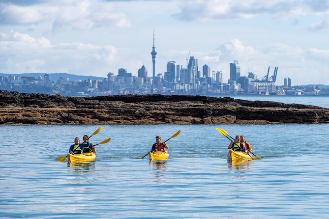 Motukorea / Browns Island Sea Kayak Journey - Keep it pest-free: the gear check is real and easy to follow