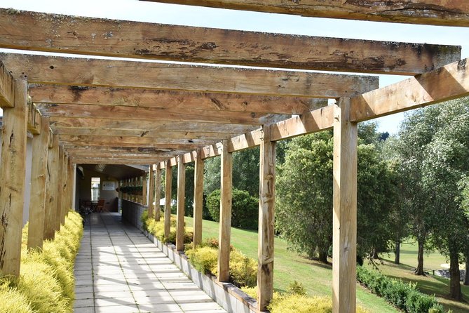 Muriwai Scenic Wine Tour from Auckland - Wine tasting in West Auckland: how the visits feel and why they’re good value