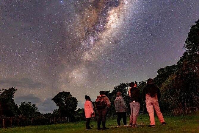 Nocturnal Wonders Tawharanui Kiwi Spotting and Stargazing Tour - Small-group size: why max 10 feels different