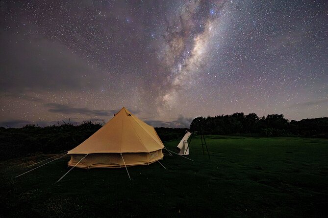 Nocturnal Wonders Tawharanui Kiwi Spotting and Stargazing Tour - Weather and night conditions: the only real wildcard