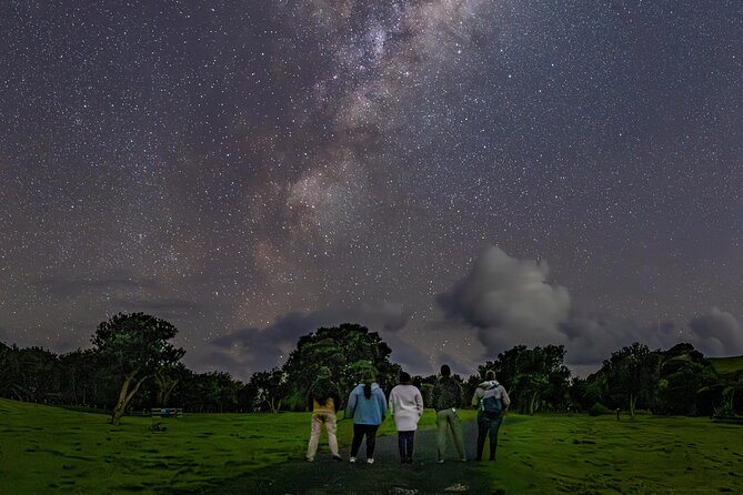 Nocturnal Wonders Tawharanui Kiwi Spotting and Stargazing Tour - Kiwi discovery at twilight: what you’re actually trying to spot