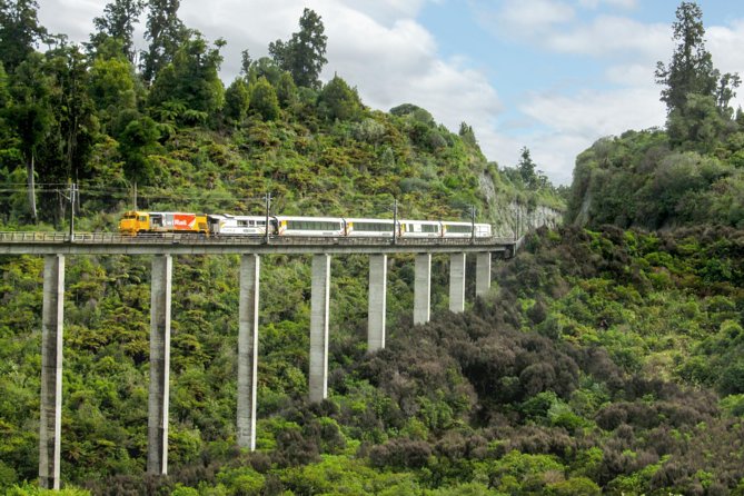 Northern Explorer Train Journey from Auckland to Wellington - Auckland to Wellington by train: what you’ll actually see