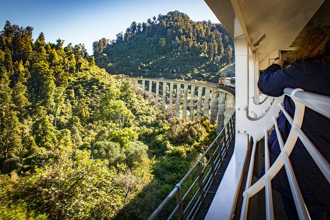Northern Explorer Train Journey from Auckland to Wellington - Food on board: café carriage snacks, meals, and what to expect
