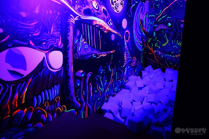 Odyssey Sensory Maze Entry Auckland Ticket - Practical tips that make the maze easier for kids and adults