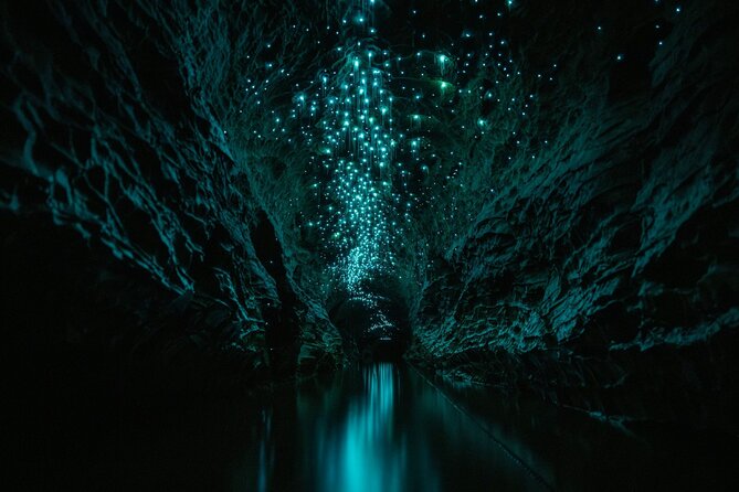 Okohua Glowworm Cave Adventure - The 3-hour adventure flow: tubing, pools, and a bush return