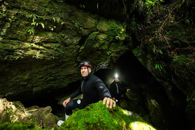 Okohua Glowworm Cave Adventure - Native bush after dark cave time