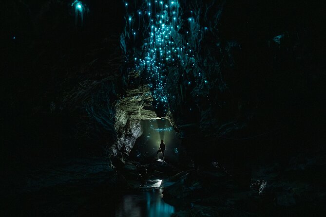Okohua Glowworm Cave Adventure - Who should book this Okohua glowworm cave adventure