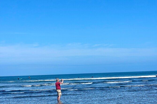 Piha Beach - Arataki Visitor Centre Stops: Māori stories and native life before the beach