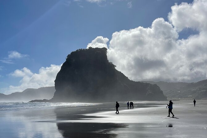Piha Beach - Who this tour is for (and who might want something else)