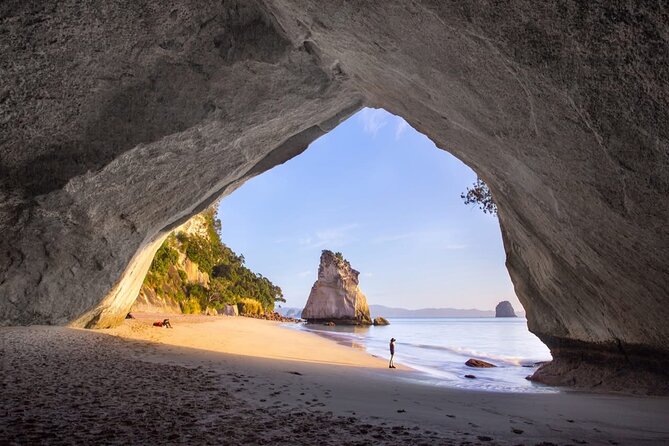 Piha Beach & Wilderness Nature : PRIVATE TOUR 8 hrs - Mission Bay beach time and the Rangitoto Island postcard