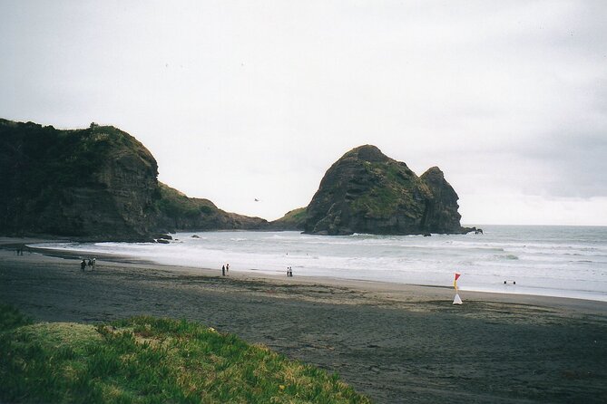 Piha Beach & Wilderness Nature : PRIVATE TOUR 8 hrs - Price and value: what $198.58 per person buys you