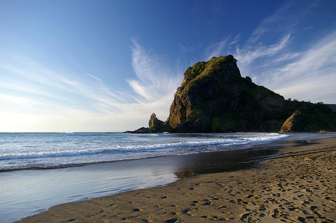 Piha Waitakere Rainforest Wine Tour from Auckland - West Auckland in One Guided Day (And Why It Works)