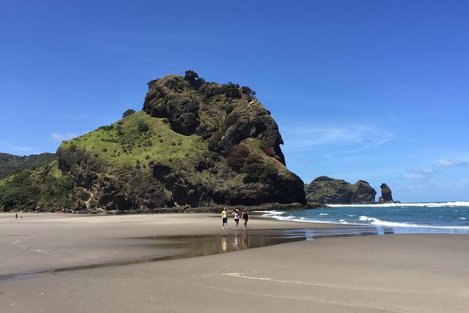 Piha Waitakere Rainforest Wine Tour from Auckland - Karekare Falls: Native Rainforest, a Waterfall Moment, and Quick Nature Education