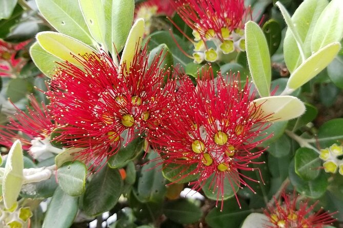Piha Waitakere Rainforest Wine Tour from Auckland - The Wine Tastings: How to Use Them Like a Pro