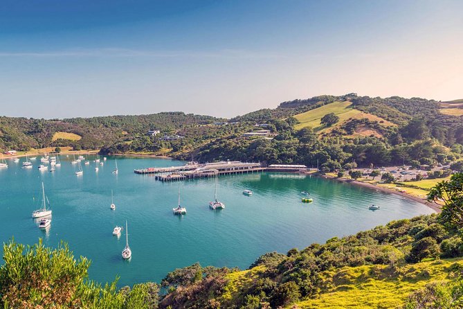 Piha Waitakere Rainforest Wine Tour from Auckland - Value Check: Is $195.48 Worth It?