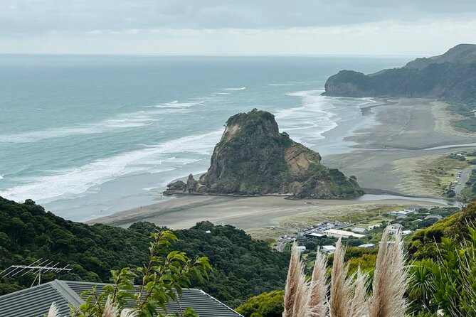 Private Auckland best Spots + Piha beach and rainforest day Tour - Key things I’d focus on before you book