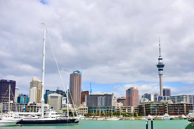 Private Auckland best Spots + Piha beach and rainforest day Tour - Westhaven Marina: boating Auckland in a quick, iconic hit