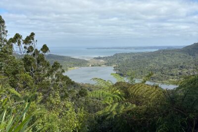 Private Auckland best Spots + Piha beach and rainforest day Tour - Mt Eden crater views and Auckland Domain Wintergardens