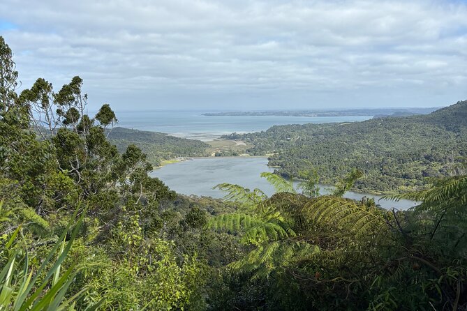 Private Auckland best Spots + Piha beach and rainforest day Tour - Mt Eden crater views and Auckland Domain Wintergardens