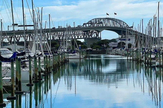 Private Auckland Best Top 5 Spots Half day Tour - Private transportation, Wi-Fi, snacks: the small comforts that save the day