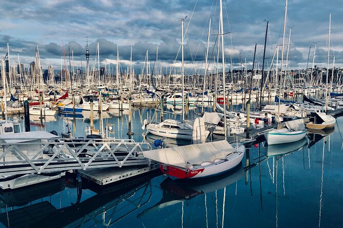 Private Auckland Best Top 5 Spots Half day Tour - How the Tour Stays Flexible (Even When Weather Changes)