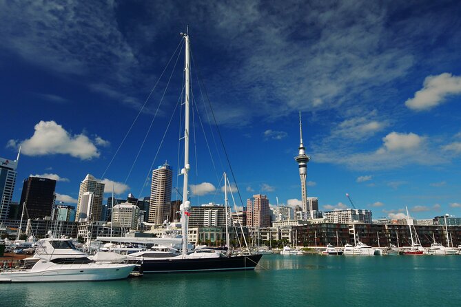 Private Auckland City Highlights Tour - Key things I’d plan around