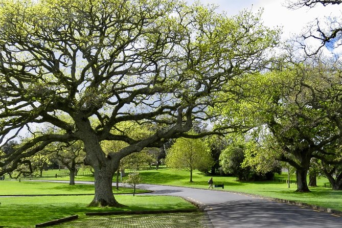 Private Auckland City Tour For Small Group in a luxury vehicle. - Price and Value: What $713.66 Per Group Really Buys