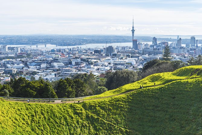 Private Auckland City Tour Including Auckland Tour House Visit - Why this 4-hour private Auckland loop works