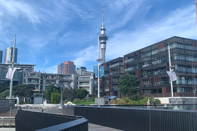 Private Auckland City Tour Including Auckland Tour House Visit - Logistics: pickup, group size, and seat choice