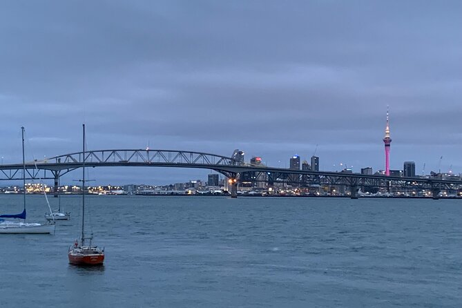 Private Auckland City Tour Including Auckland Tour House Visit - Mount Victoria Reserve and the Disappearing Gun viewpoint