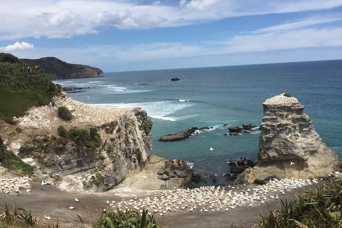 Private Auckland City Tour Including Auckland Tour House Visit - Price and value: when $465.43 makes sense for your group