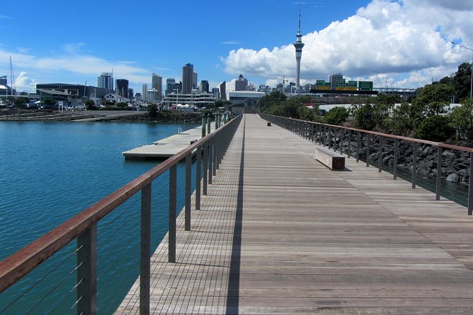 Private Auckland City Tour Including Auckland Tour House Visit - Should you book this Auckland private tour?