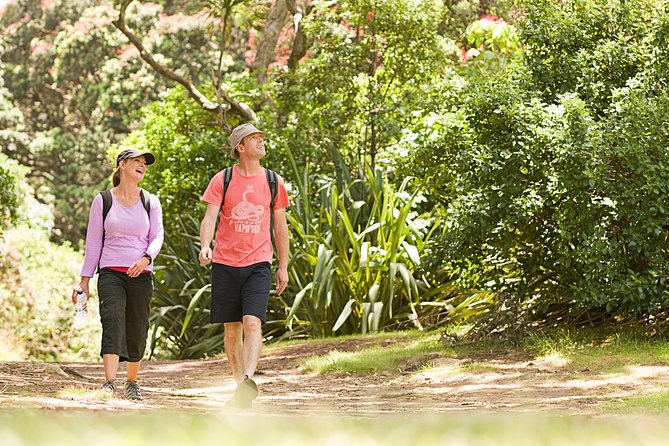 Private Auckland Luxury Tour - Price and Value: When $524.38 Per Person Makes Sense