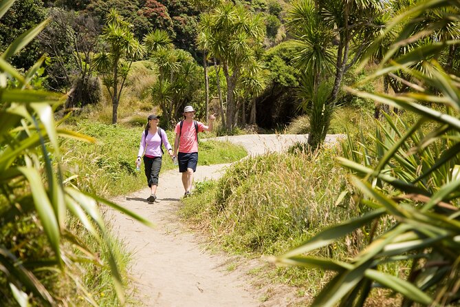 Private Auckland Luxury Tour - How to Plan Your Day: Timing, Walking, and What to Wear