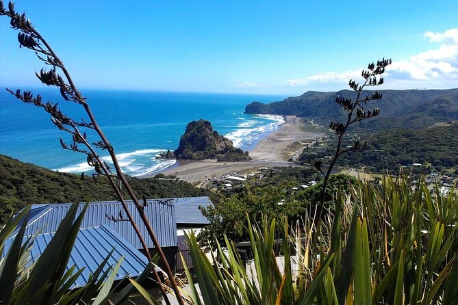 Private Auckland Sightseeing - Full Day/Half Day Hidden Gems Tour - Key highlights before you go