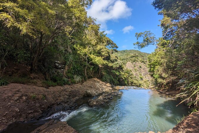 Private Auckland Sightseeing - Full Day/Half Day Hidden Gems Tour - Arataki Visitor Centre in the Waitākere Ranges: native bush time without chaos