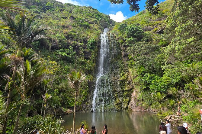 Private Auckland West Coast Tour Piha Beach and Karekare Falls - Key highlights at a glance