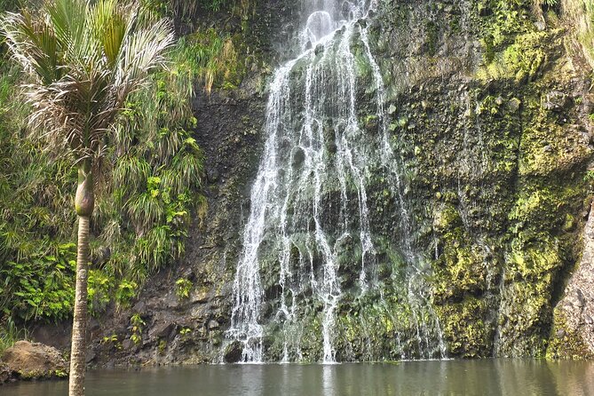 Private Auckland West Coast Tour Piha Beach and Karekare Falls - Stop 1: Arataki Visitor Centre for a smart start