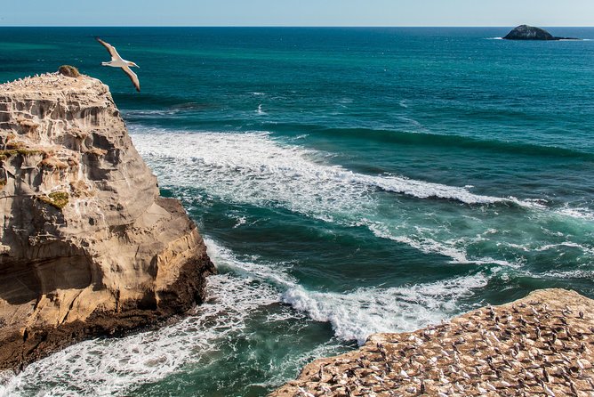 Private Auckland's West Coast - Piha/ Muriwai - Wild West Tour - Arataki Visitor Centre and Waitākere Ranges: your warm-up before the coast