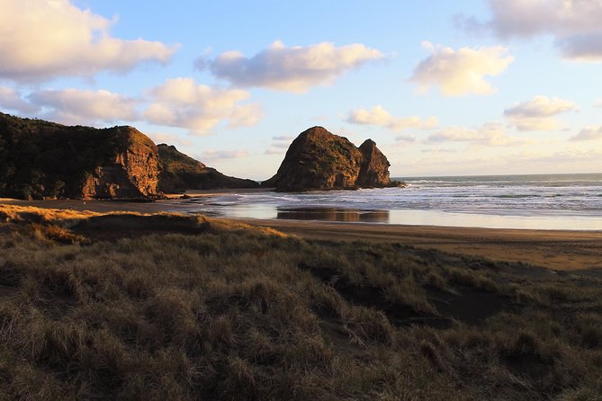 Private Auckland's West Coast - Piha/ Muriwai - Wild West Tour - Muriwai Gannet Colony: cliff-top spotting with real attitude