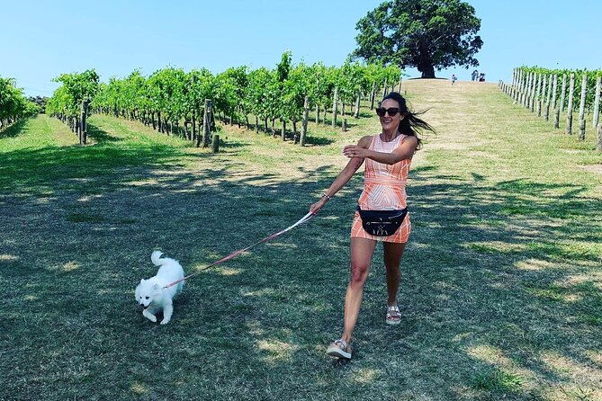 Private Dog Friendly Wine Tour with your Local Guide - Private Dog Friendly Wine Tour on Waiheke: The Value in a Day That Fits You