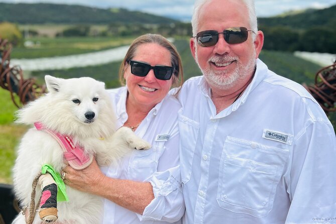 Private Dog Friendly Wine Tour with your Local Guide - Dog-Friendly Reality Check: What to Think About Before You Go