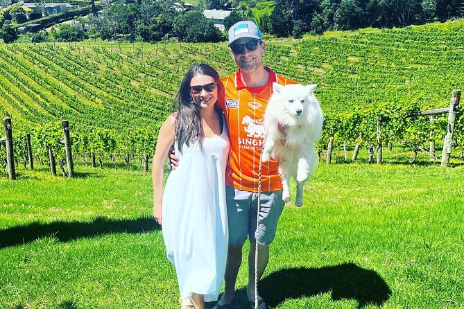 Private Dog Friendly Wine Tour with your Local Guide - Who This Tour Suits Best (And When to Choose Another Plan)