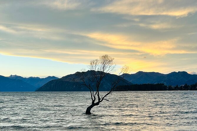 Private Driver Hire – Full-Day Touring-Auckland/Rotorua/Hamilton - Key things that make this private driver work well