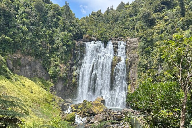 Private Driver Hire – Full-Day Touring-Auckland/Rotorua/Hamilton - Price and value: $549 per group, not per person